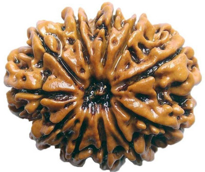 

SHIVOHAM 11 MUKHI CERTIFIED NEPALI RUDRAKSHA Wooden Yantra