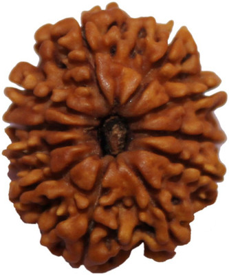 

ByCue Certified 11 Mukhi Nepal Rudraksha Wooden Yantra(Pack of 1)