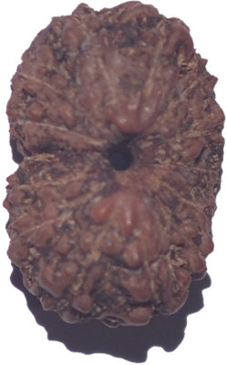 

Navkaar Creation 14 Mukhi Rudraksha Java 14.27mm Wooden Yantra