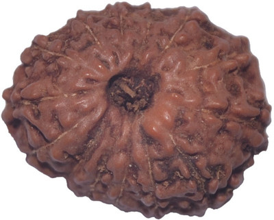 

Navkaar Creation 14 Mukhi Rudraksha Java 17.44mm Wooden Yantra
