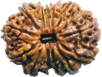 

SHIVOHAM THIRTEEN MUKHI RUDRAKSHA LAB CERTIFIED Wooden Yantra