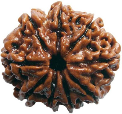 

SHIVOHAM 9 MUKHI NEPALI RUDRAKSHA CERTIFIED Wooden Yantra