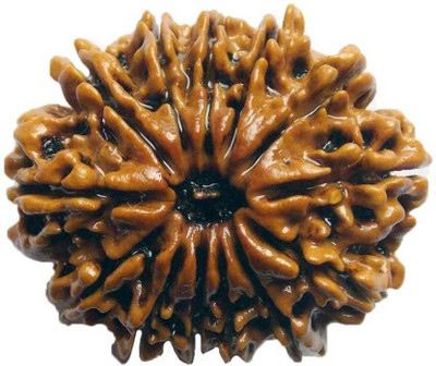 

SHIVOHAM 13 MUKHI PREMIUM QUALITY NEPALI CERTIFIED RUDRAKSHA Wooden Yantra