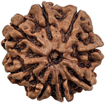 

SHIVOHAM 8 MUKHI CERTIFIED NEPALI RUDRAKSHA Wooden Yantra