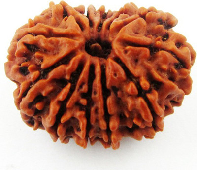 

SHIVOHAM 12 Mukhi Rudraksha. Wooden Yantra