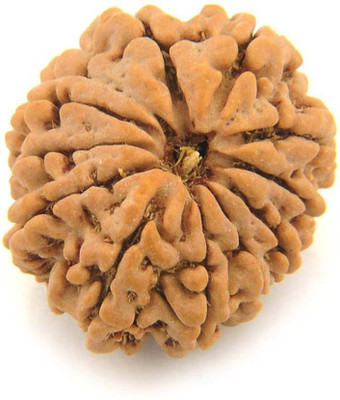 

SHIVOHAM 11 MUKHI RUDRAKSHA NEPALI CERTIFIED Wooden Yantra