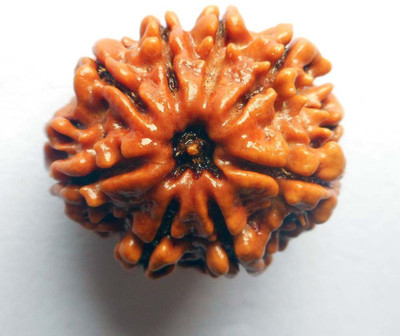 

Manoramaenterprises Eight Mukhi Rudraksha Wooden Yantra(Pack of 1)