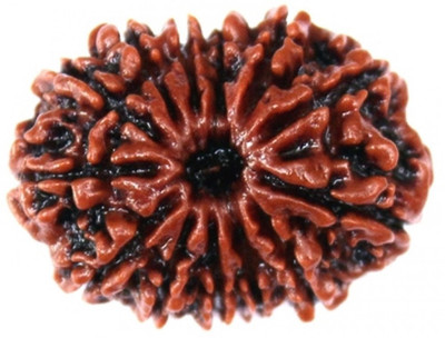 SHIVOHAM 13 Mukhi Rudraksha Wood Pendant