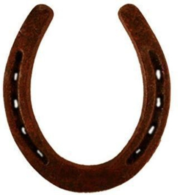 Sarva Kashta Nivaran Kale Ghode Ki Naal Iron Yantra(Pack of 1)