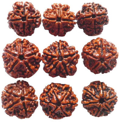 

SHIVOHAM Combination of 4 mukhi, 5 mukhi, 6 mukhi Rudraksha (9 pieces) Wooden Yantra(Pack of 1)