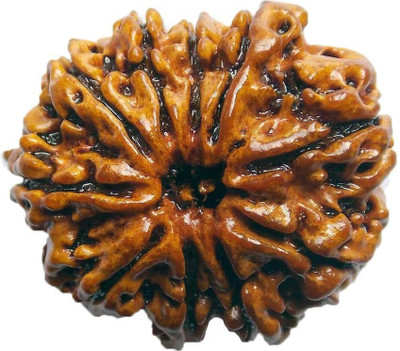 

ByCue Ceritfied 10 Mukhi Nepal Rudraksha 25.29mm Wooden Yantra(Pack of 1)