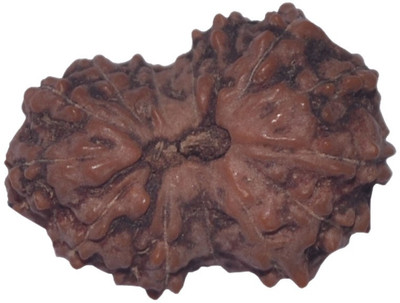 

Navkaar Creation 14 Mukhi Rudraksha Java 17.73mm Wooden Yantra