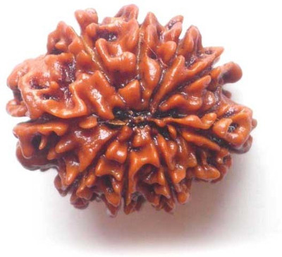 

ByCue Certified 9 Mukhi Rudraksha Wooden Yantra(Pack of 1)