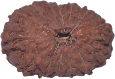 Navkaar Creation 14 Mukhi Rudraksha Java 19.58mm Wooden Yantra at flipkart