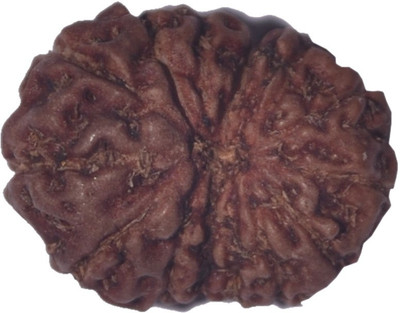 

Navkaar Creation 14 Mukhi Rudraksha Java 14.64mm Wooden Yantra