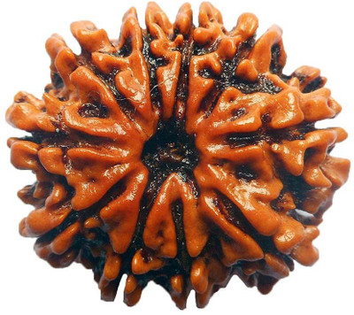 

Manoramaenterprises Certified 10 Mukhi Wooden Yantra(Pack of 1)