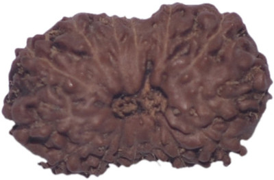 

Navkaar Creation 15 Mukhi Rudraksha Java 17.79mm Wooden Yantra