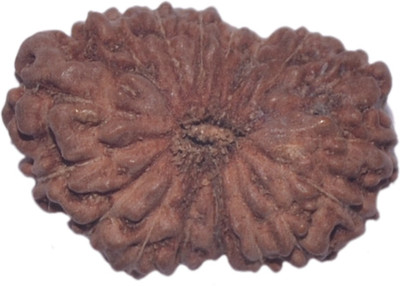 

Navkaar Creation 17 Mukhi Rudraksha Java 15.68mm Lab Certified Wooden Yantra