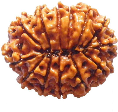 

ByCue Certified 13 Mukhi Rudraksha Wooden Yantra(Pack of 1)
