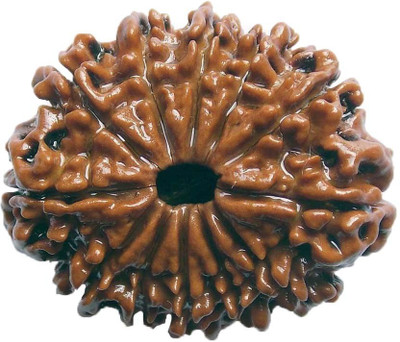 

ByCue Ceritfied 12 Mukhi Nepal Rudraksha 26.11mm Wooden Yantra(Pack of 1)