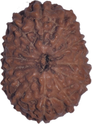 

Navkaar Creation 13 Mukhi Rudraksha Java 20.00mm Lab Certified Wooden Yantra