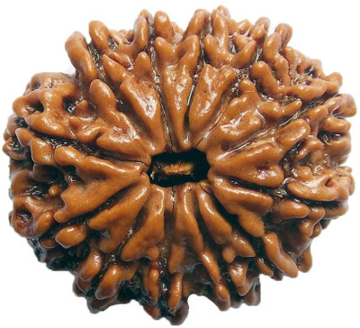 

ByCue Ceritfied 12 Mukhi Nepal Rudraksha 26.57mm Wooden Yantra(Pack of 1)