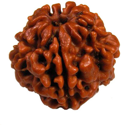 

ByCue Certified 2 Mukhi Rudraksha Wooden Yantra(Pack of 1)