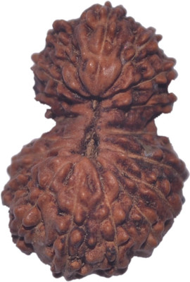

Navkaar Creation 18 Mukhi Rudraksha Java 21.10 mm Lab Certified Wooden Yantra