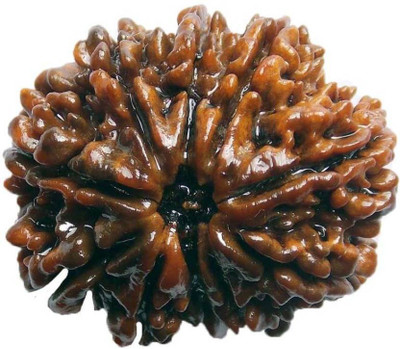 

SHIVOHAM TEN FACE RUDRAKSHA LAB CERTIFIED Wooden Yantra