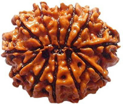 

SHIVOHAM 12 MUKHI RUDRAKSHA LAB CERTIFIED Wooden Yantra