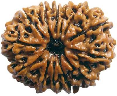 

ByCue Ceritfied 13 Mukhi Nepal Rudraksha 27.92mm Wooden Yantra(Pack of 1)