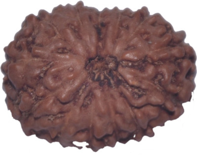 

Navkaar Creation 13 Mukhi Rudraksha Java 17.15mm Lab Certified Wooden Yantra