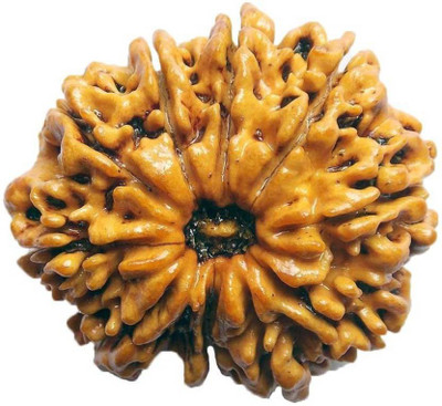 

SHIVOHAM 10 MUKHI RUDRAKSHA FROM NEPAL LAB CERTIFIED Wooden Yantra