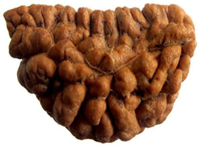 

ByCue Certified 1 Mukhi Rudraksha Wooden Yantra(Pack of 1)