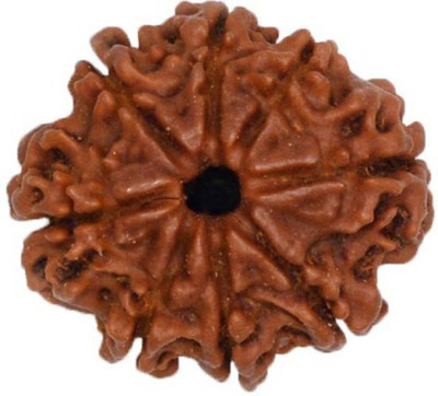 

SHIVOHAM 7 MUKHI ORIGINAL NEPALI RUDRAKSHA LAB CERTIFIED Wooden Yantra