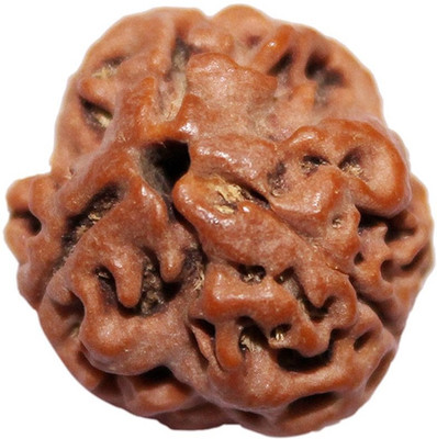 

ByCue Certified 3 Mukhi Nepal Rudraksha Wooden Yantra(Pack of 1)