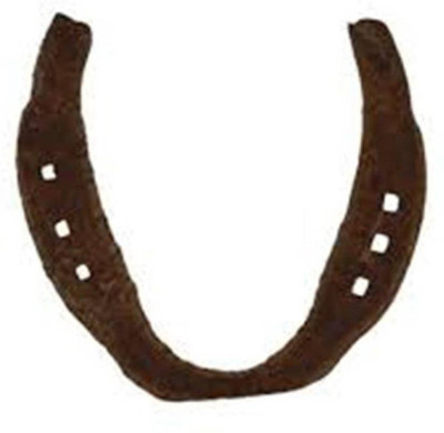 Hari Om Enterprises Black Horse Shoe (Kale Ghode Ki Naal) Iron Yantra(Pack of 1) available at flipkart for Rs.249