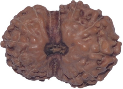

Navkaar Creation 15 Mukhi Rudraksha Java 17.02mm Wooden Yantra