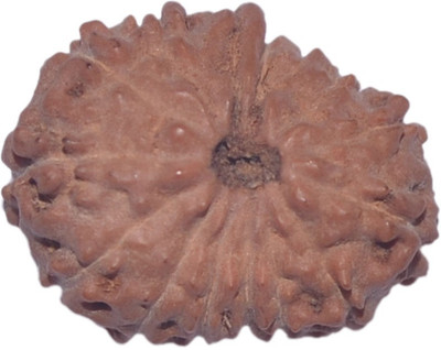 

Navkaar Creation 15 Mukhi Rudraksha Java 17.33mm Wooden Yantra