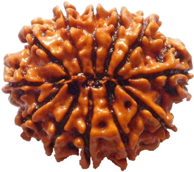 

ByCue Certified 12 Mukhi Rudraksha Wooden Yantra(Pack of 1)