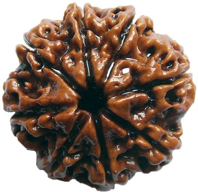

ByCue Ceritfied 8 Mukhi Nepal Rudraksha 23.50mm Wooden Yantra(Pack of 1)