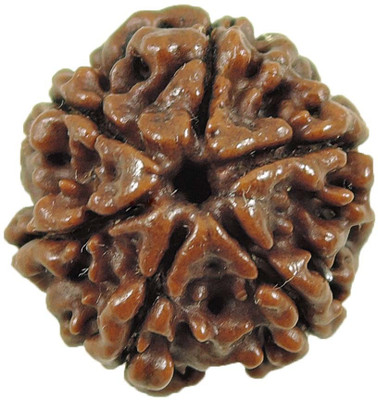 

SHIVOHAM 6 Mukhi Rudraksha. Wooden Yantra