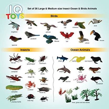 IQ Toys Set Of 36 Large & Md Size Insect Ocean & Birds Animals - Set Of 36  Large & Md Size Insect Ocean & Birds Animals . Buy Ocean Animals toys