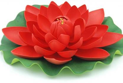 Lavi Home Decor Lotus Red Assorted Artificial Flower Price In India Buy Lavi Home Decor Lotus Red Assorted Artificial Flower Online At Flipkart Com