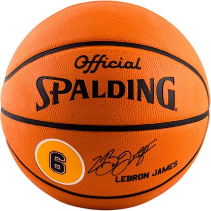 spalding lebron james