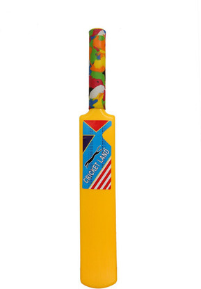 flipkart bat and ball
