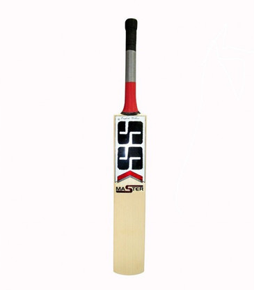 ss master 100 kashmir willow bat