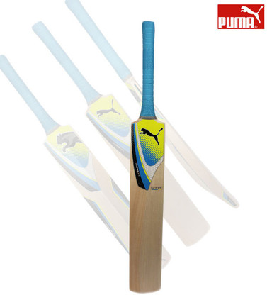 puma evospeed gtr cricket bat