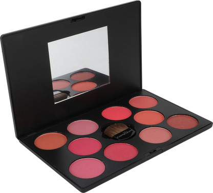 professional blusher palette