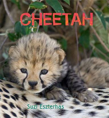 Cheetah Buy Cheetah By Eszterhas Suzi At Low Price In India Flipkart Com Detailed news, announcements, financial report, company information, annual report, balance sheet, profit & loss account, results and. cheetah buy cheetah by eszterhas suzi